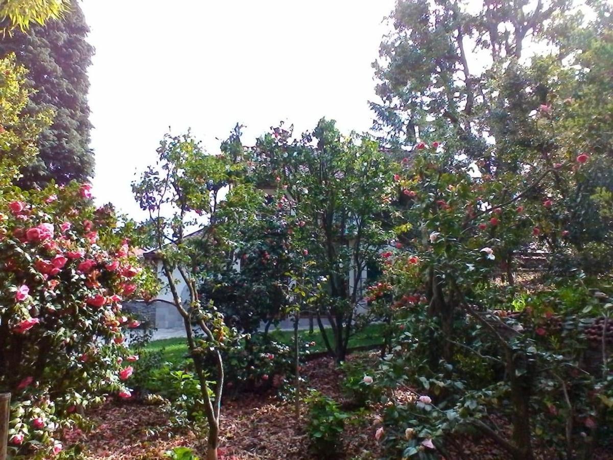 Oggebio La Camelia D'Oro 아파트 외부 사진