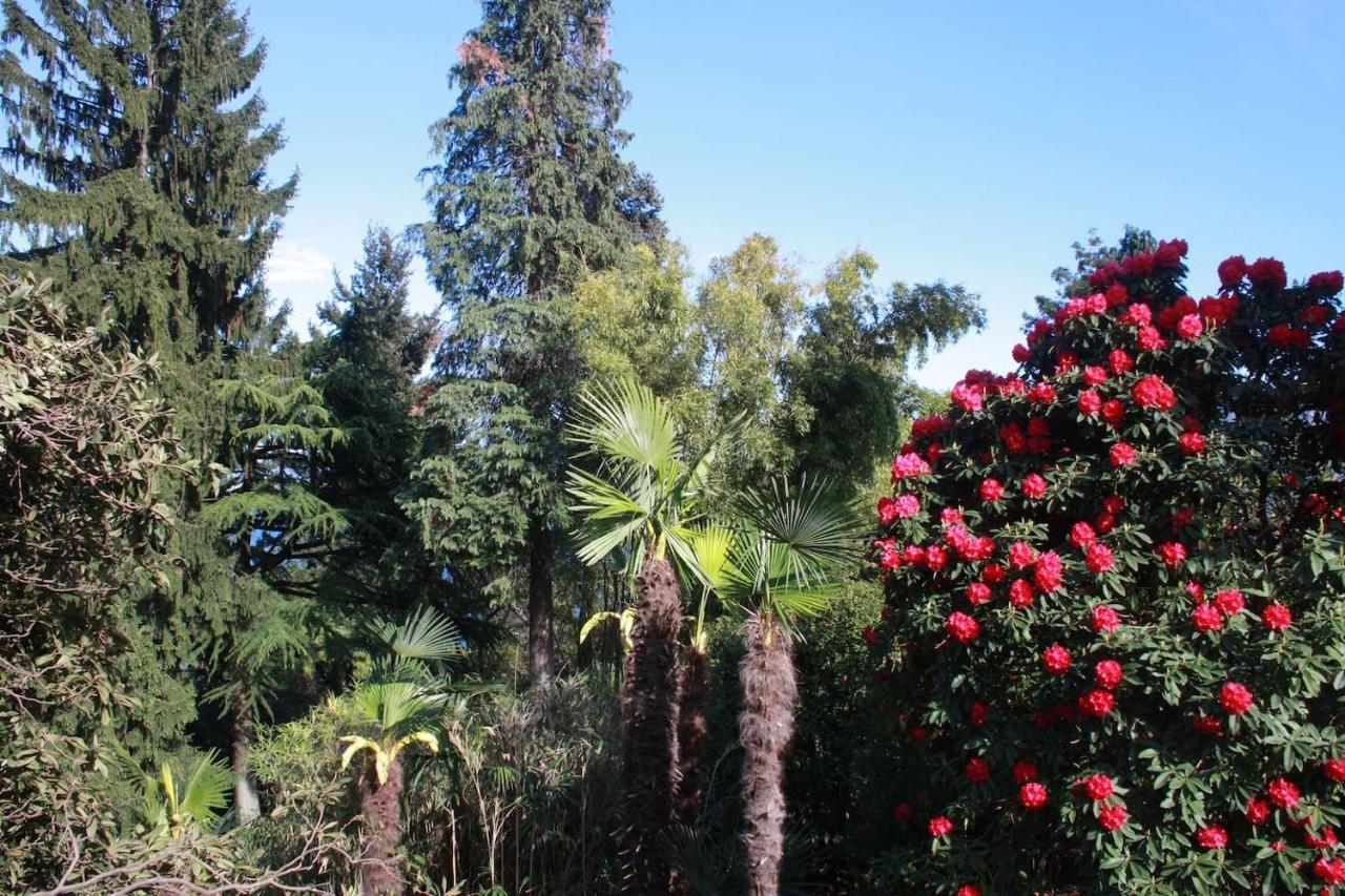 Oggebio La Camelia D'Oro 아파트 외부 사진